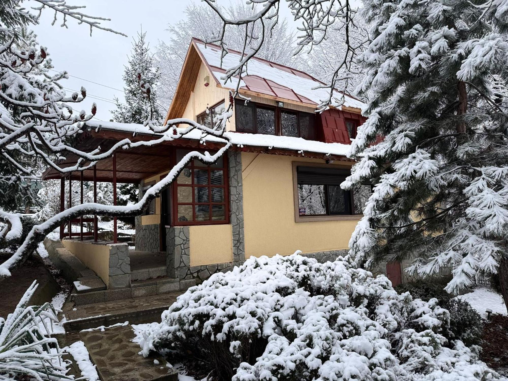 Cabana Din Padurea Valeni Valenii de Munte Luaran gambar